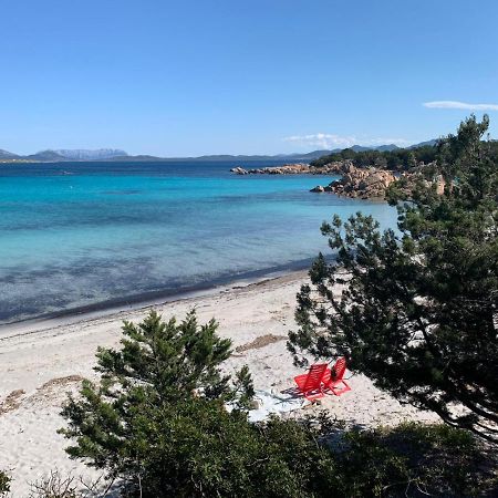 Appartamento Porto Rotondo Rudargia Ngoại thất bức ảnh