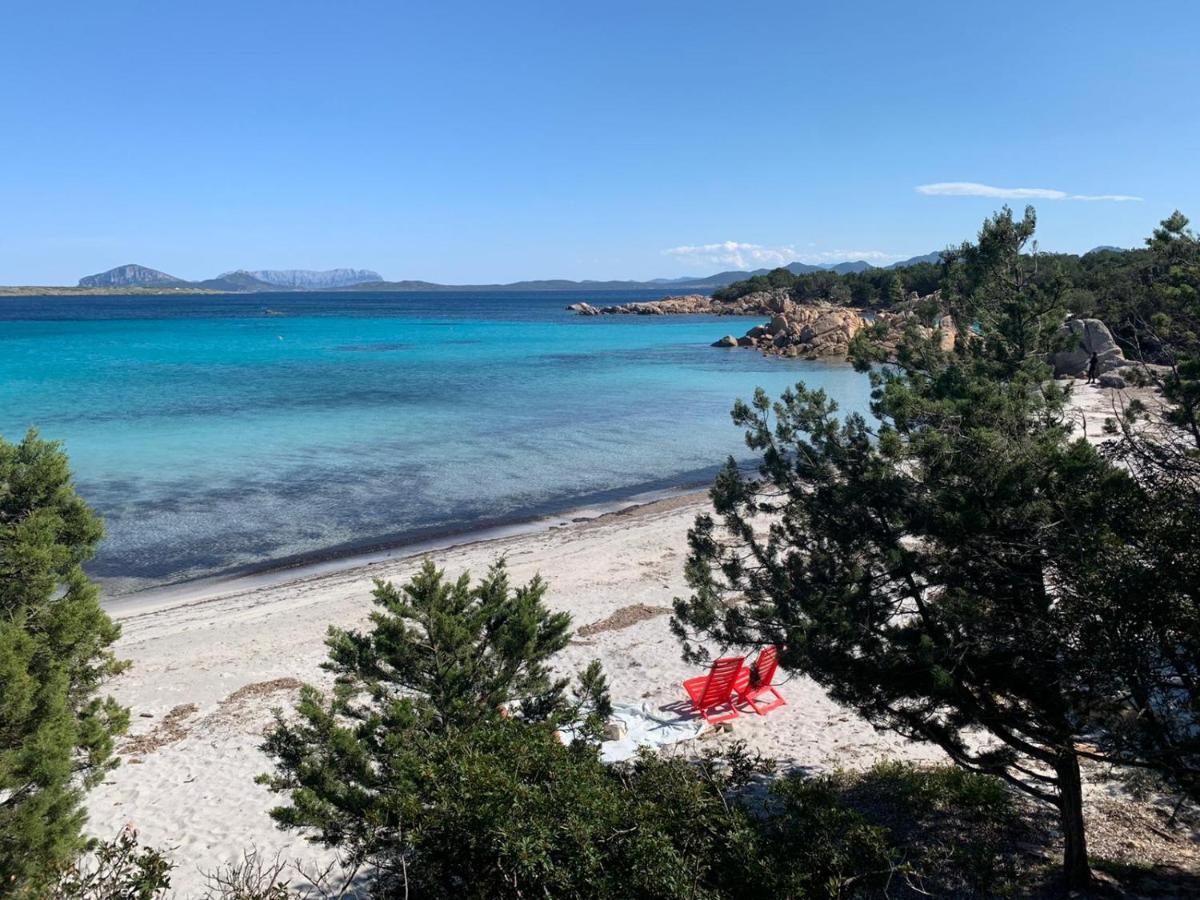 Appartamento Porto Rotondo Rudargia Ngoại thất bức ảnh